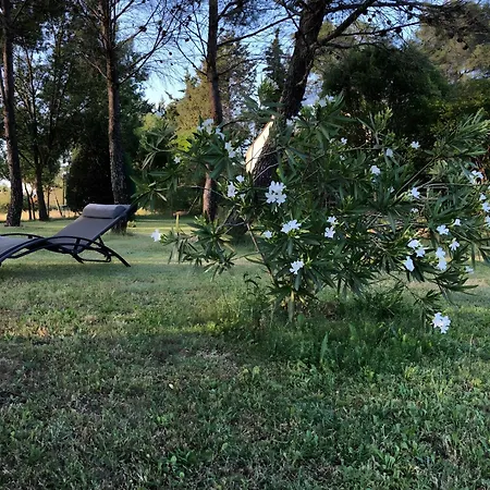 Vila Les Hauts De Cassagnas *