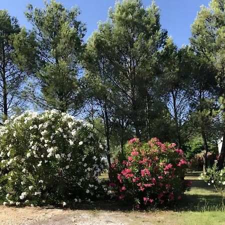Villa Les Hauts De Cassagnas Saint-Julien-de-Cassagnas