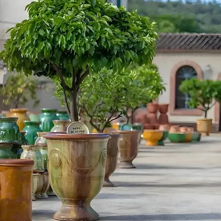 Les Hauts De Cassagnas Villa *